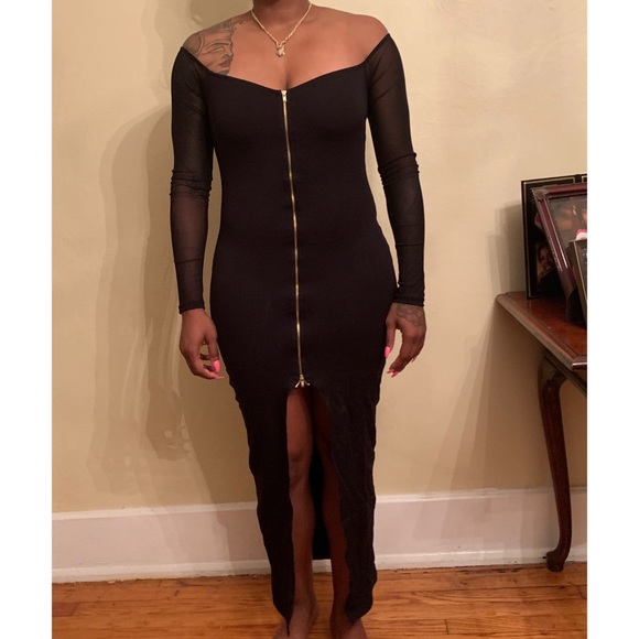 Sheer Long Sleeves Zipper Dress - Picture 1 of 2